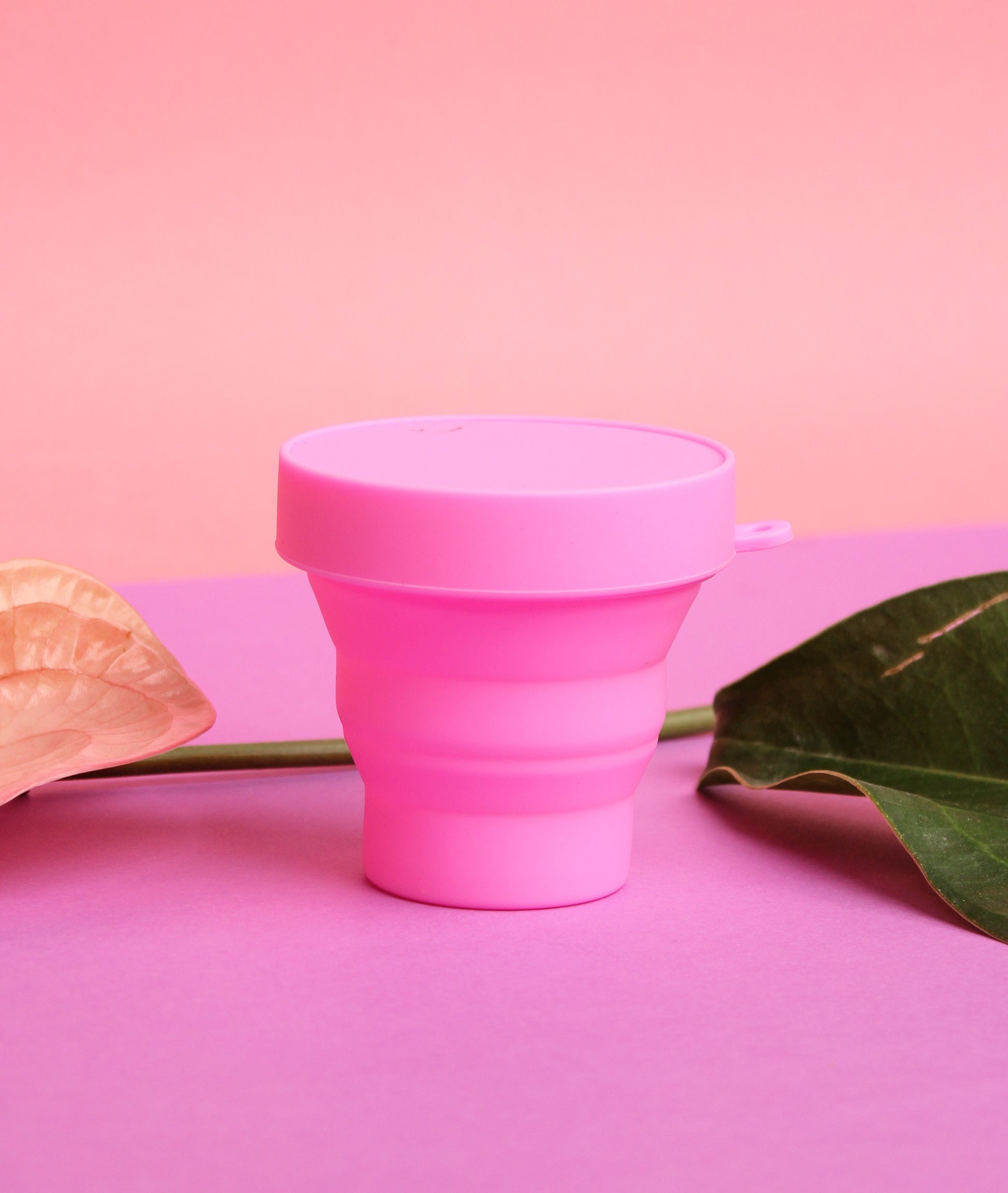  EcoBlossom Estuche y esterilizador para vasos menstruales,  soporte de esterilización de silicona reutilizable, período de limpieza  para ti y tu disco o taza, recipiente de limpieza portátil y vaporizador  para microondas (